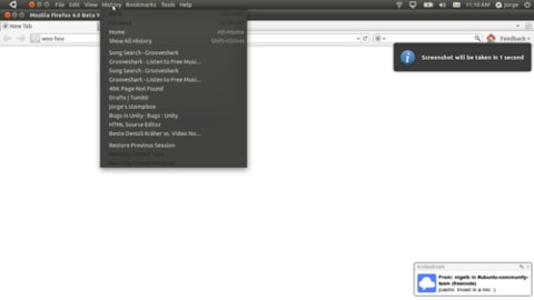 Firefox 4 в глобальном меню для Ubuntu 11.04