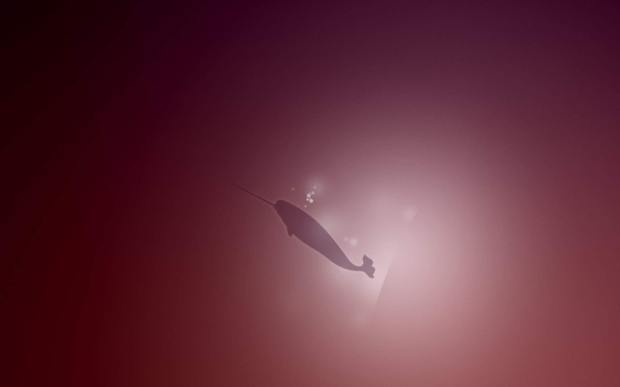 Представлен пак фирменных обоев для Natty Narwhal