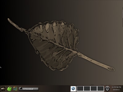 Релиз Enlightenment дистрибутива Bodhi 1.0.0 