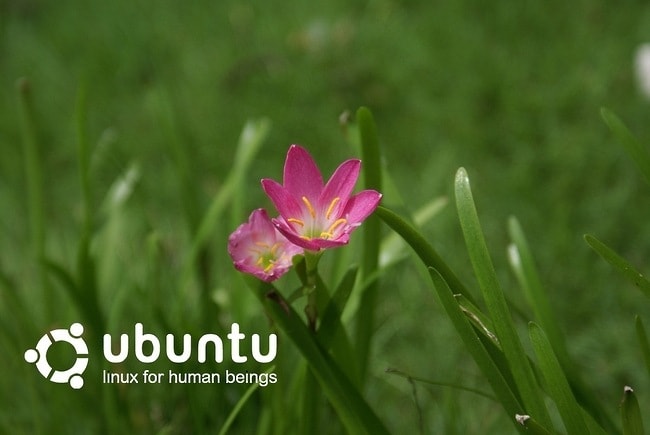 Тематические обои для Ubuntu