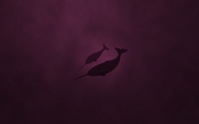 Скачать тематических обои для Ubuntu 11.04